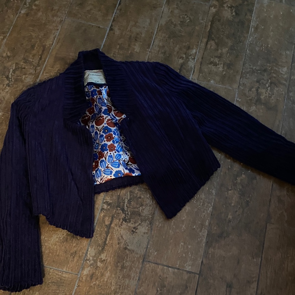 Cartonnier Deep Purple Women's Blazer. Velvet feel. Size 2. Great condition.